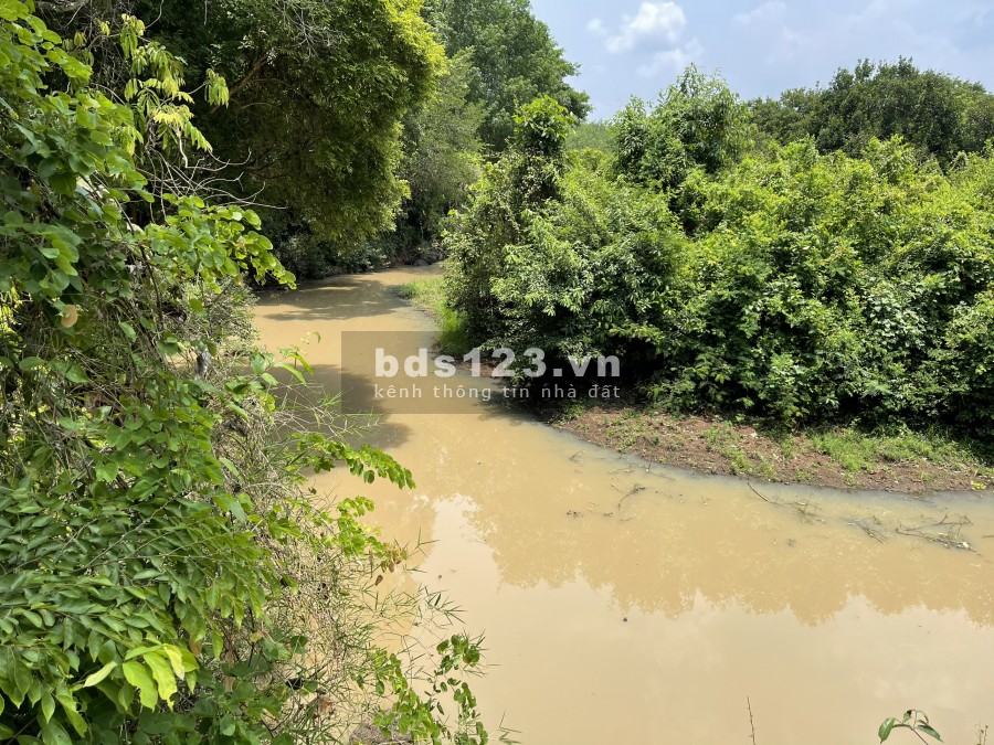 Đất vườn biệt thự view sông view suối 1000m2
