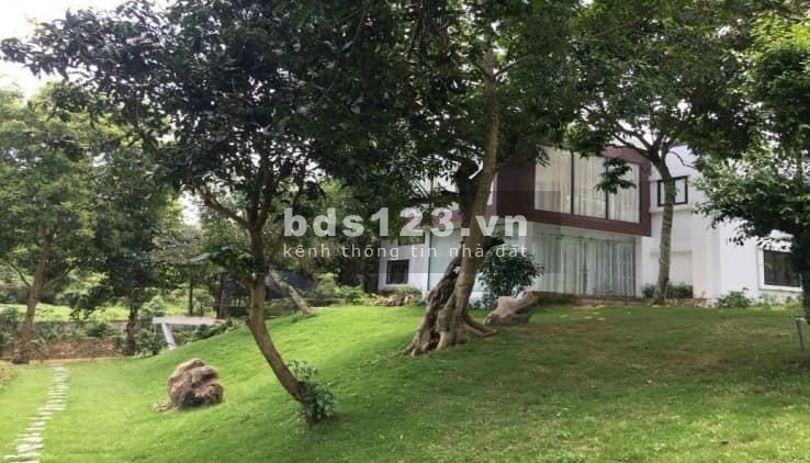 Siêu hot bán đất tặng biệt thự hồ bơi Lương Sơn Hòa Bình 2000m chỉ nhỉnh 6tỷ ful đồ