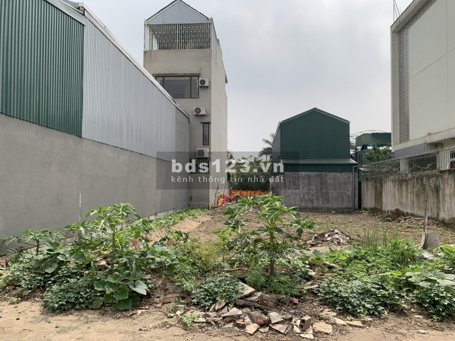 Bán 112,9m2 đất mặt phố Chính Trung, lô sát góc, vị trí cực đẹp đối diện 31ha.