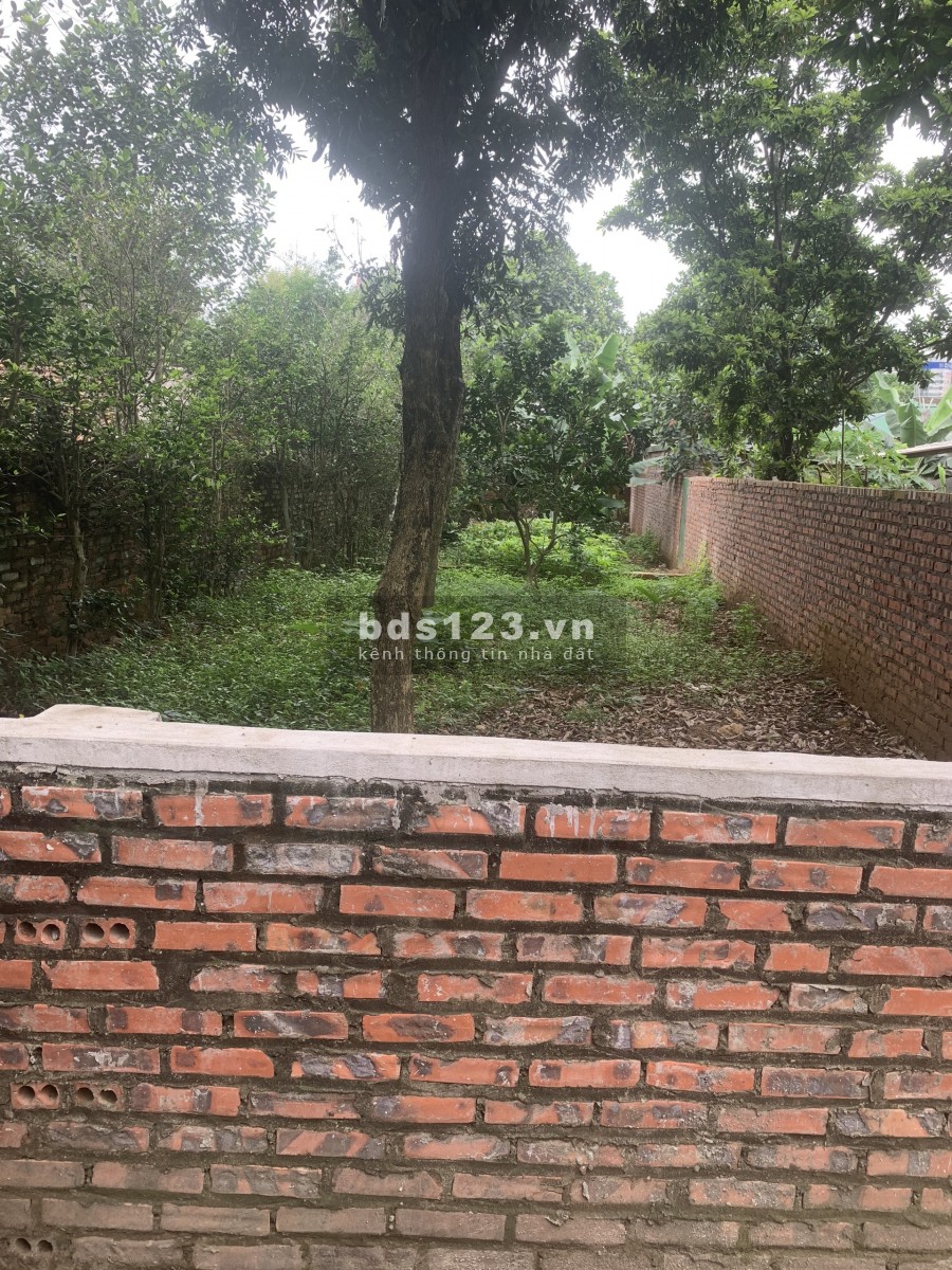 TÔI CHÍNH CHỦ BÁN 84.5m ĐẤT thôn Vân Lôi