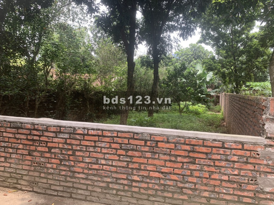 TÔI CHÍNH CHỦ BÁN 84.5m ĐẤT thôn Vân Lôi