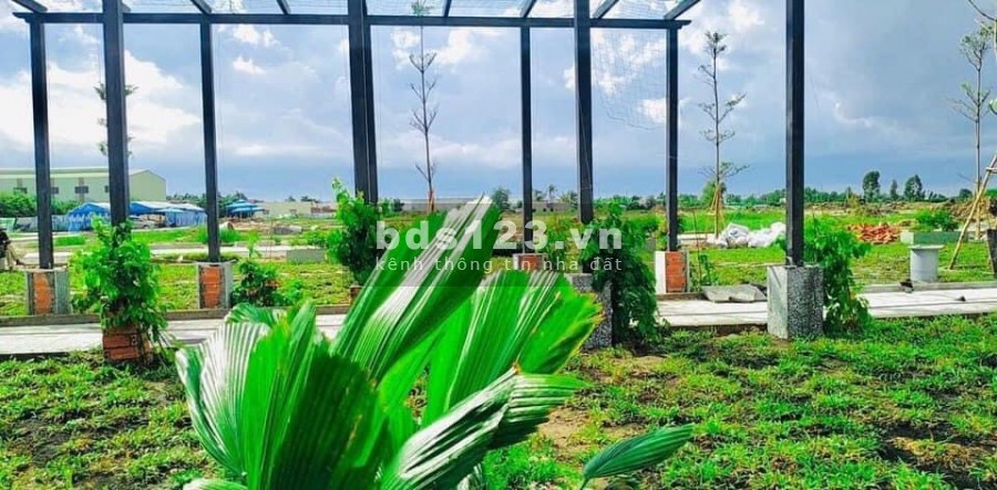 Bán đất nền dự án đất nền đang hot ngay thị trấn Cần Đước
