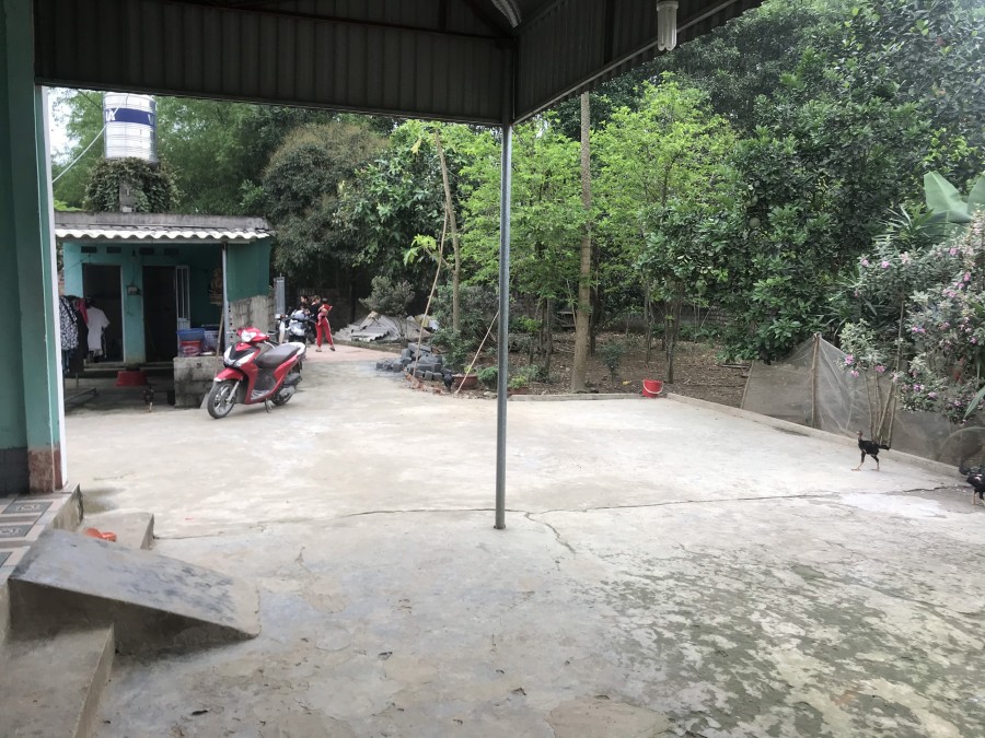Bán gấp đất thổ cư tặng nhà tại thôn Đàm Rái Nhuận Trạch Lương Sơn Hoà Bình