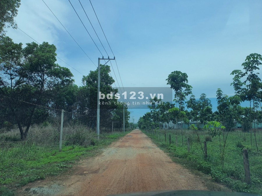 Xã Long Nguyên bán đất xây xưởng diện tích 9,2ha. Vị trí thuận lợi