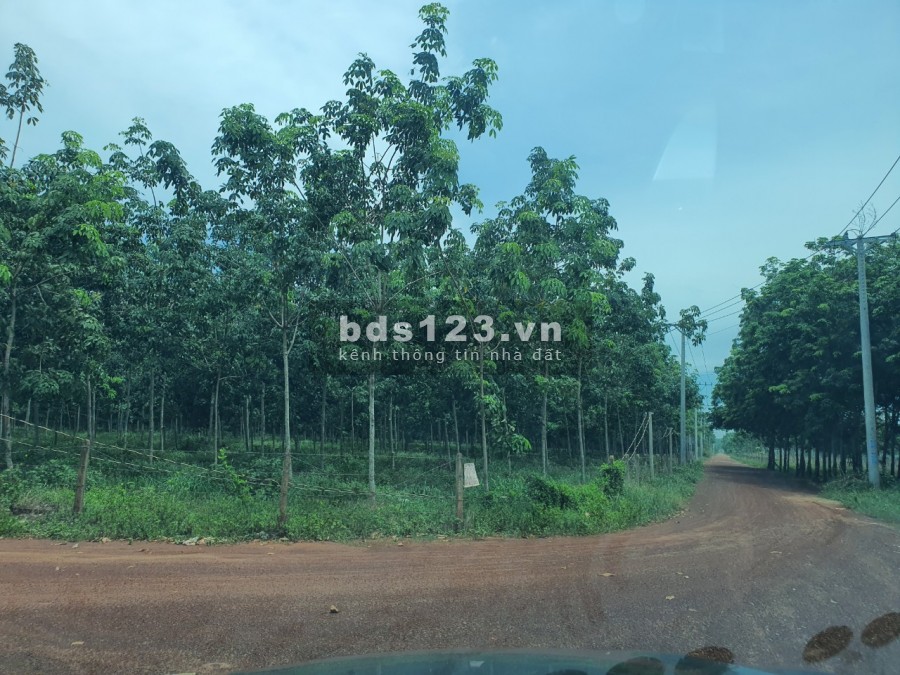 Xã Long Nguyên bán đất xây xưởng diện tích 9,2ha. Vị trí thuận lợi