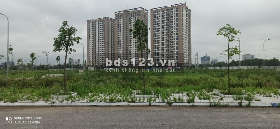 Cần bán nhanh 2 lô đất liền kề nhau MB3241 Phường Đông Hương, Thanh Hóa, suất ngoại giao