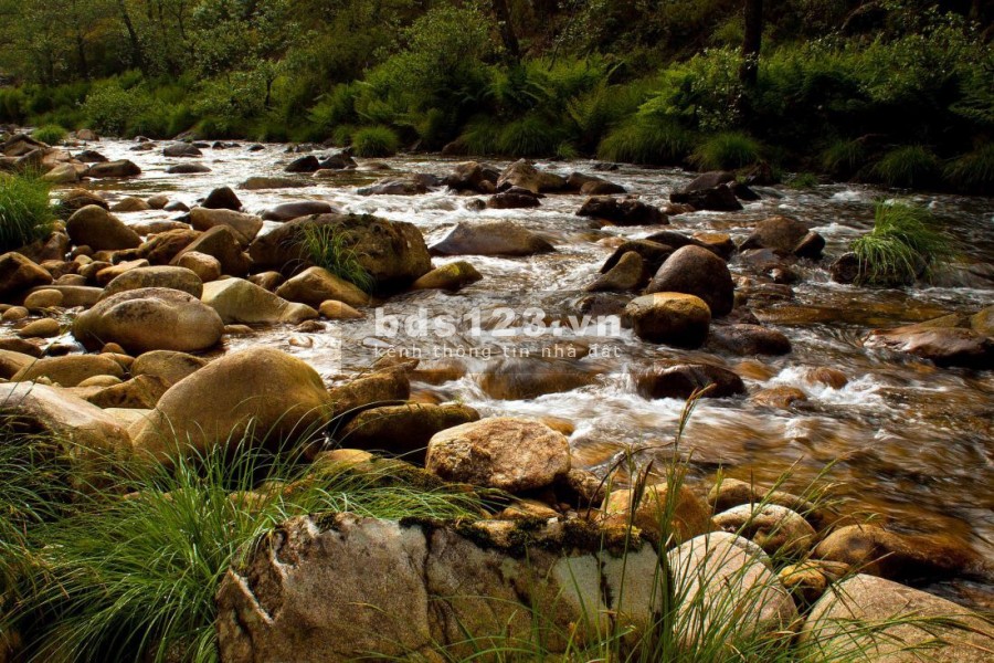 Bán Đất biệt thự view sông, view suối đông dân 1000m2 giá rẻ