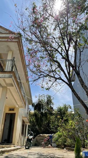 Nhà Hẽm 56 Thông Thiên học, 14 tỷ