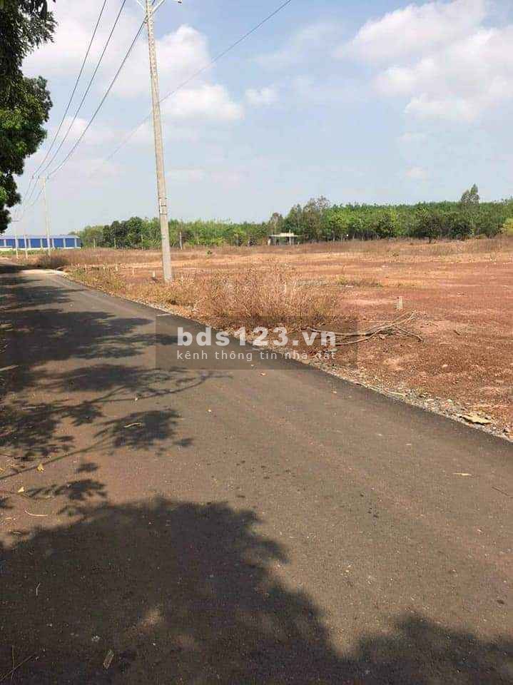 Cần tiền cưới vợ bán gấp 1ha , ngay tại khu công nghiệp Becamex Chơn Thành.