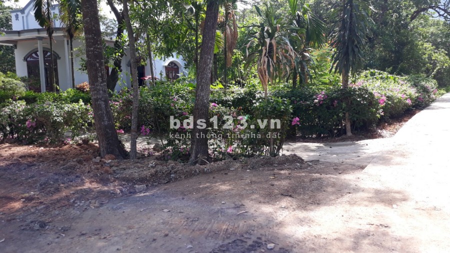 BÁN 2,5 MẪU ĐẤT Ở NGAY KHU DÂN CƯ XÃ SUỐI CÁT, TẶNG NHÀ CẤP 4. 450TR/ SÀO.
