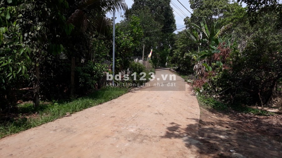 BÁN 2,5 MẪU ĐẤT Ở NGAY KHU DÂN CƯ XÃ SUỐI CÁT, TẶNG NHÀ CẤP 4. 450TR/ SÀO.