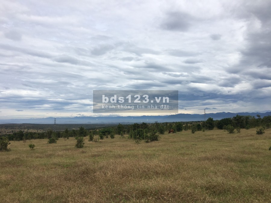 Đầu tư 5000m2 đất Bình Thuận rồi chờ đợi, đừng chờ đợi để mua giá 550 triệu, sổ đỏ riêng