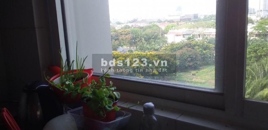Cho thuê căn hộ 2 phòng ngủ quận 7 Phú Mỹ Hưng TPHCM
