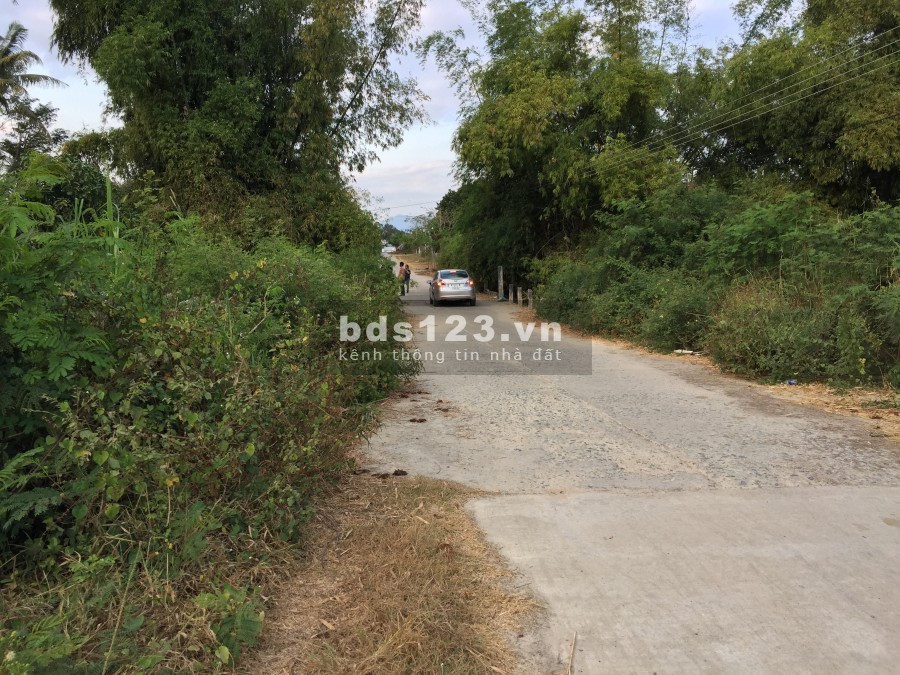 cho thuê đất có thổ Cam Lâm, Khánh Hòa tiện làm trang trại (hơn 10.000m2)
