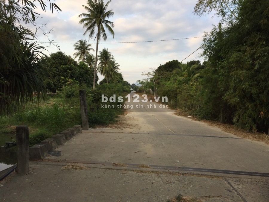 cho thuê đất có thổ Cam Lâm, Khánh Hòa tiện làm trang trại (hơn 10.000m2)