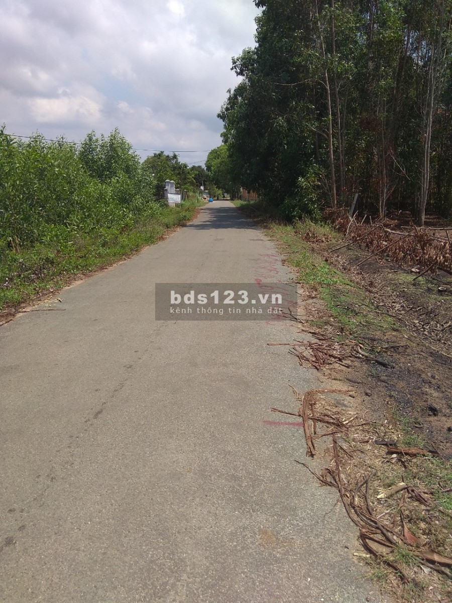 Đất Gò Cát nằm ngay Melia Hồ Tràm cách biển 5,5km Giá tốt đầu tư chỉ từ 6,8tr/m2