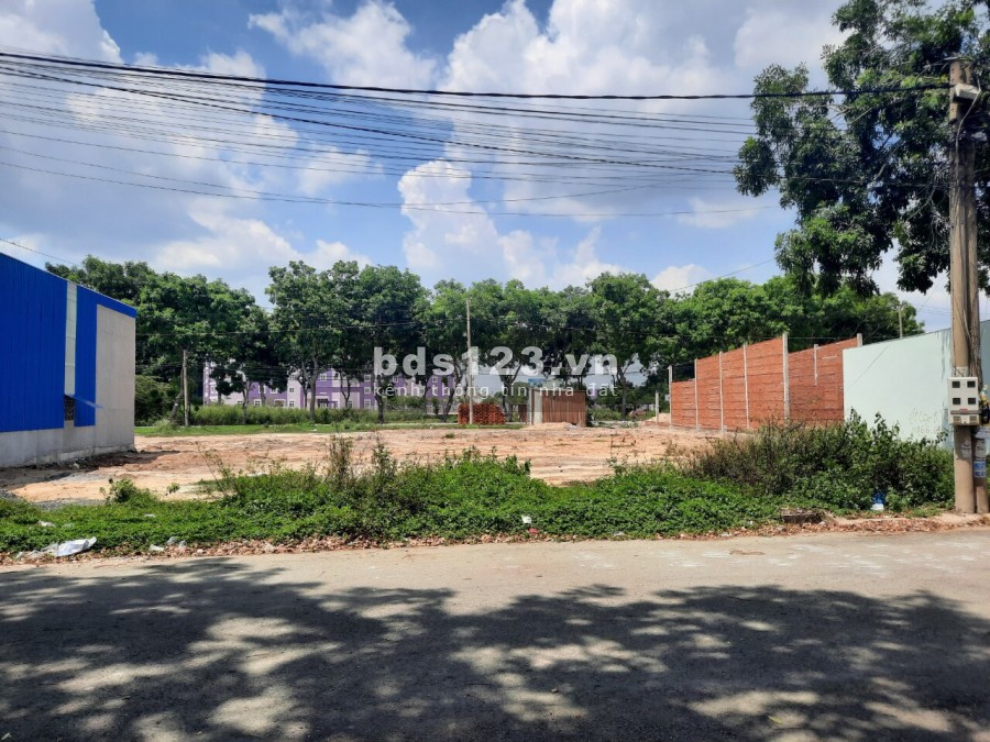 Đất nền TL10,125m2, TC SHR, 1tỷ3, sát trường đh qtế Tân Tạo, bệnh viện đa khoa Tân Tạo, Bình Chánh