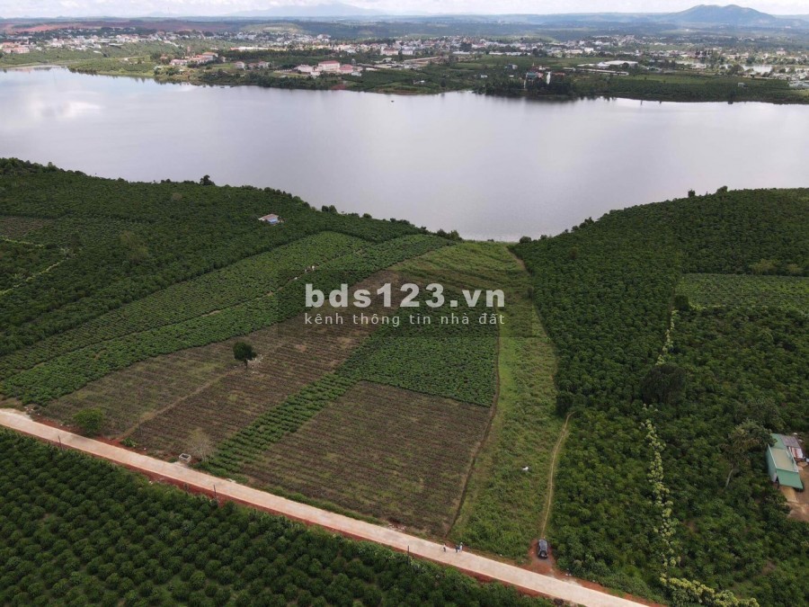 Bán gấp 5 sào đất view hồ Bảo Lâm