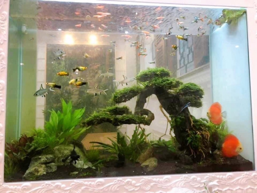 Bán nhà mặt tiền 5.2x21m 4 lầu đường 3/2 quận 10 chỉ 32 tỷ
