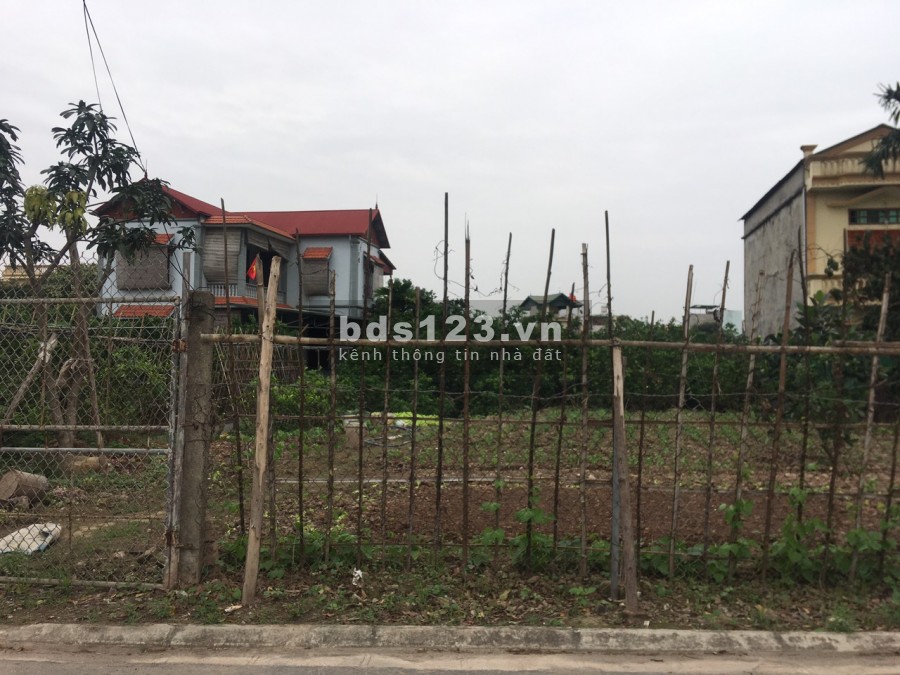 Gia đình có việc bán gấp mảnh đất biệt thự 31ha Trâu Quỳ 100m khu H2-35