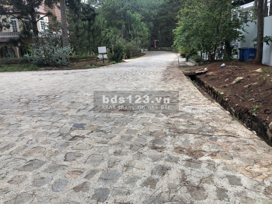 Bán lô đất 1600m2 nằm giử rùng thông thuộc dự án hồ Tuyền Lâm thành phố Đà Lạt
