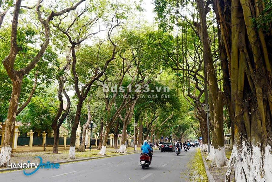 Bán nhà phố đẹp, thoáng mát nhất Hà Nôi - Phan Đình Phùng, Ba Đình. DT 42 m2, 5 tầng