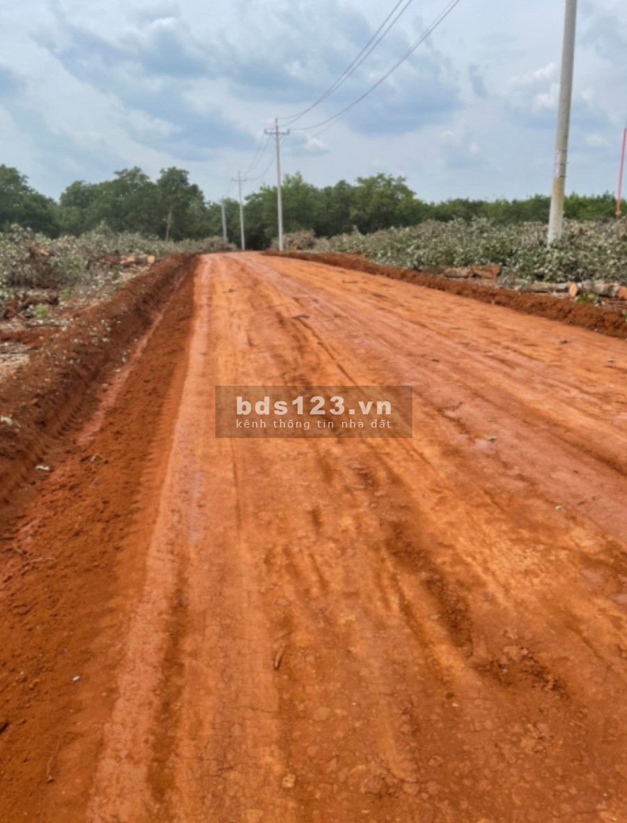 Đất Đồng Phú (SHR) 1000m2 ngang 30 trở lên giá rẻ