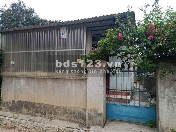 Bán đất tại đội 3 xã Thanh Hưng, Điện Biên