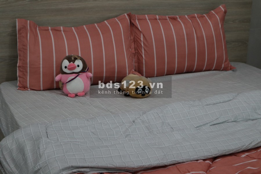 Căn hộ dịch vụ, đủ nội thất, Lê Văn Lương, Quận 7 giá chỉ 5tr/tháng