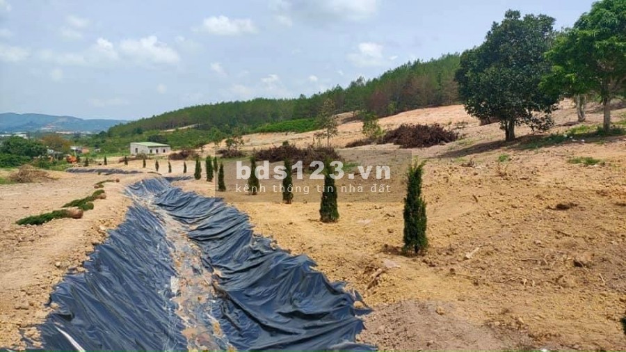 942M2 CHỈ 1.2 TỶ ĐẤT NGHỈ DƯỠNG CÁCH ĐÀ LẠT 24KM