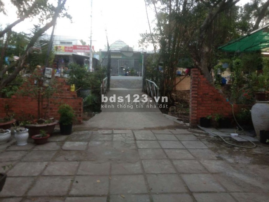 Cho thuê mặt bằng kinh doanh cá cánh, cây cảnh.