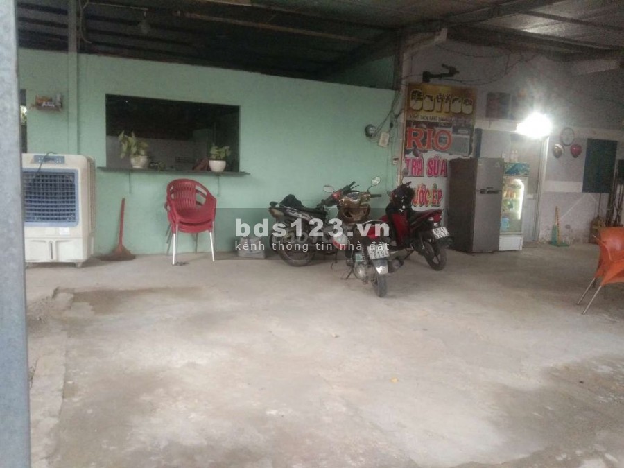 Cho thuê mặt bằng kinh doanh cá cánh, cây cảnh.