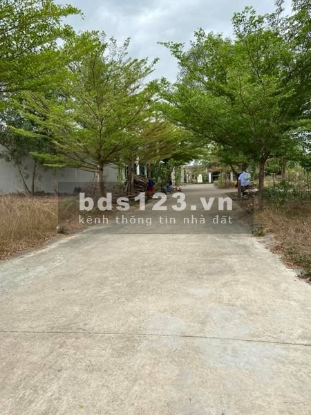 VIB THANH LÝ LÔ ĐẤT TẠI PHƯỜNG TÂN ĐỊNH ĐỐI DIỆN KHU CÔNG NGHIỆP 