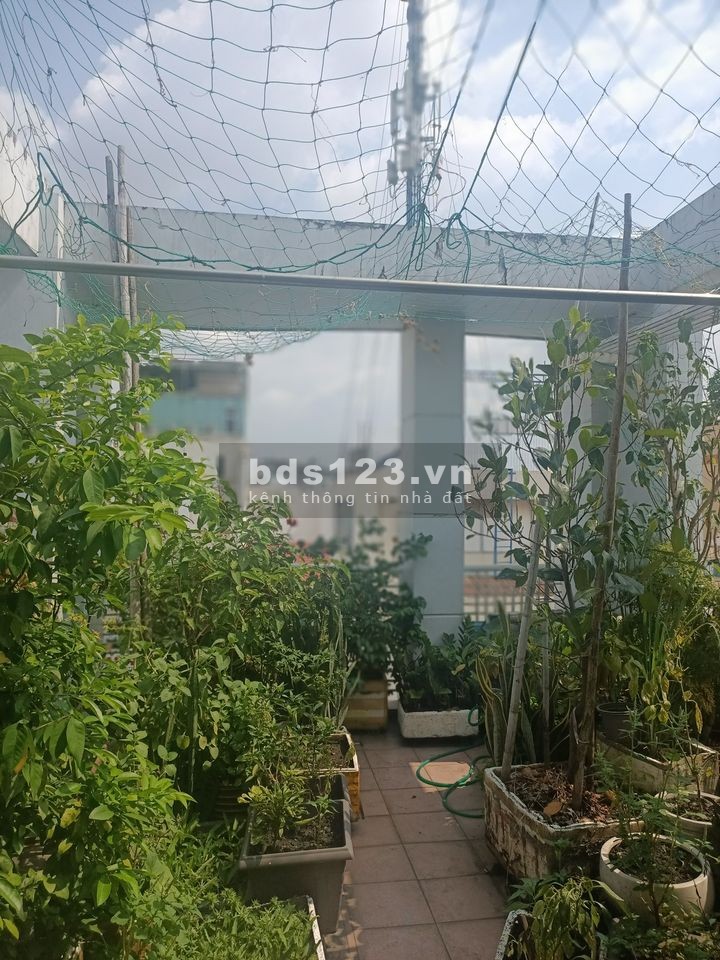 Bán nhà Biệt thự Quận 10, đường Tô Hiến Thành, 4x15m, 5 tầng BTCT