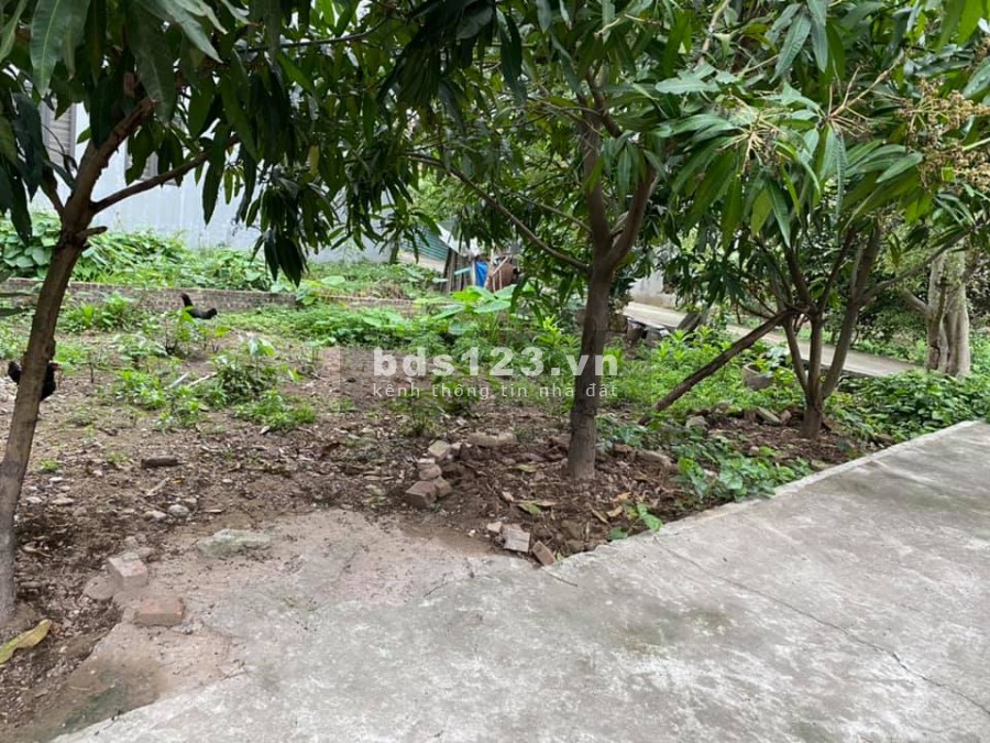 Đất Bát Khối Tư Đình 45m2 MT 5,7m giá 2,55tỷ