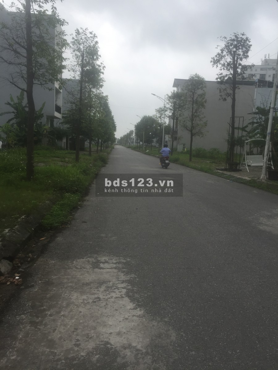 Bán nhanh biệt thự đường 14m Thanh Hà cienco5, Mường Thanh