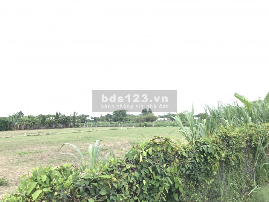 Siêu phẩm giá rẻ, bán đất 100% thổ cư ở Củ Chi