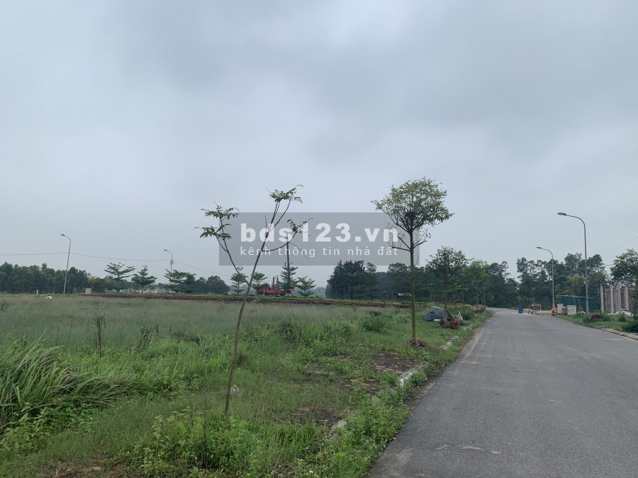 EM BÁN LÔ ĐẤT SỔ CÁ NHÂN HƯỚNG ĐÔNG NAM, BAO PHÍ SANG TÊN TRUNG TÂM KĐT MỚI XUÂN HOÀ