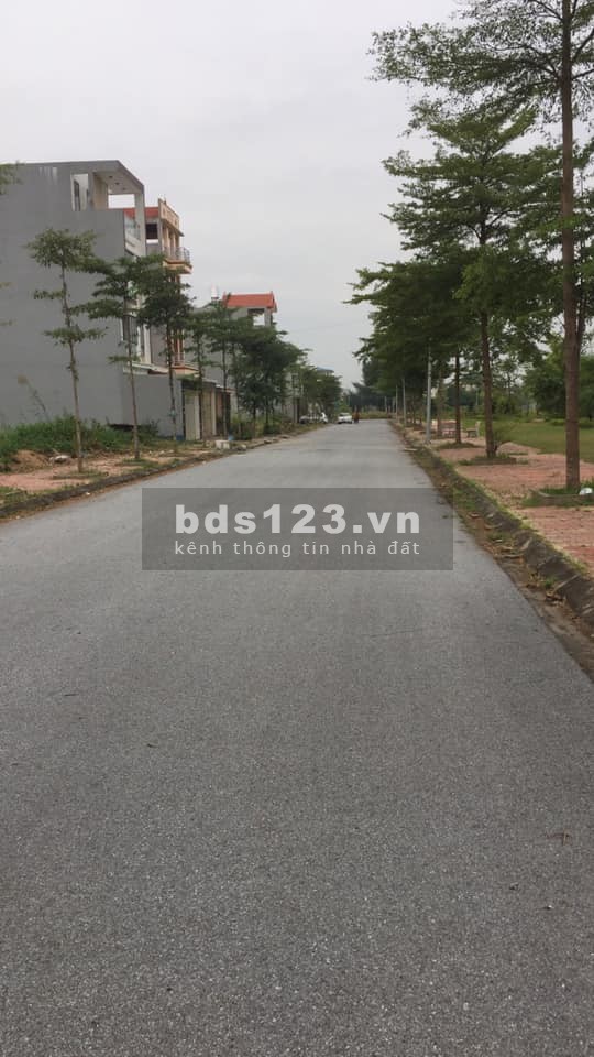 Cập nhập liên tục bảng hàng các suất ngoại giao gửi bán phòng kinh doanh chủ đầu tư Thăng
