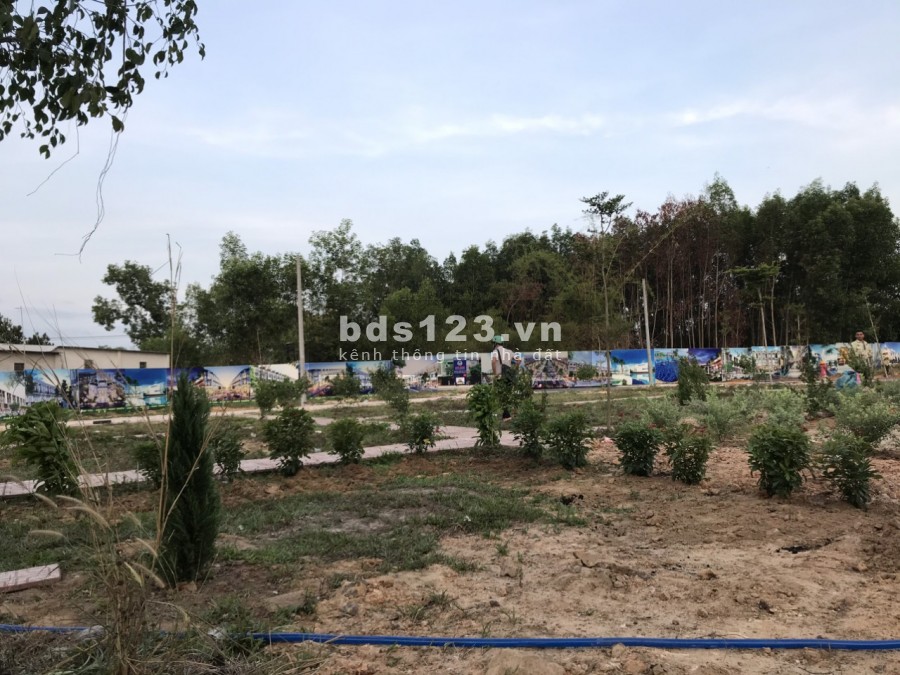 Nhanh tay sổ hữu lô đất nền vị trí đắc địa, số lượng có hạn xây dựng tự do, giá đầu tư