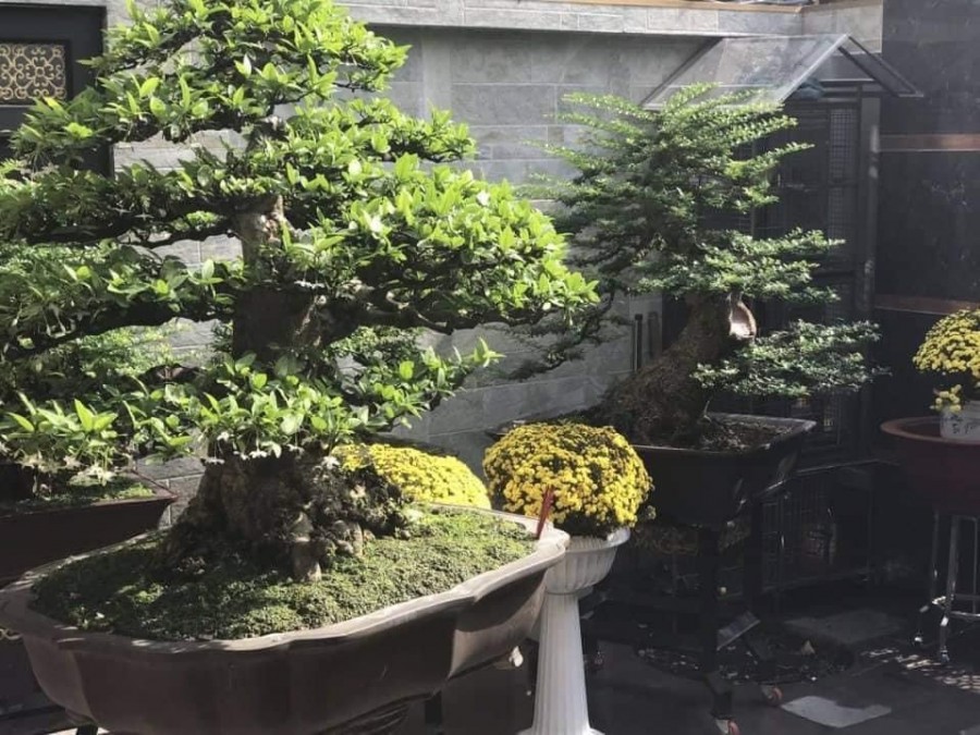 Bán Nhà Tân Bình Biệt Thự Mặtt Tiền 142m2 4 tầng 6x20m Nở Hậu 11m. Giá 25 tỷ