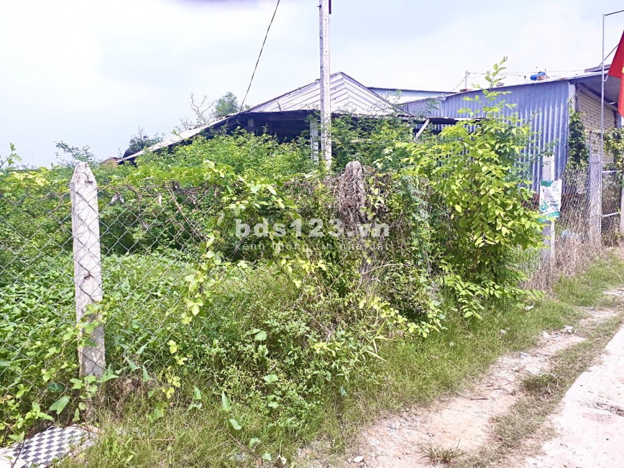 Tôi bán đất thổ cư 287m2 MT Đức Hòa Thượng ngay UBND xã thuận tiện Kinh doanh hoặc đầu tư
