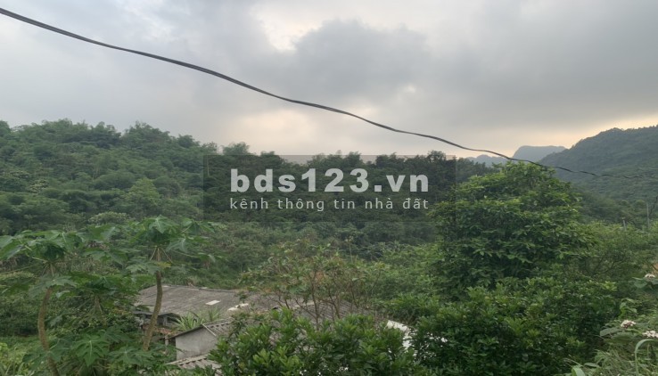 Siêu hiếm siêu rẻ 180 triệu/ha RSX bám suối view ruộng Kim Bôi Hòa Bình