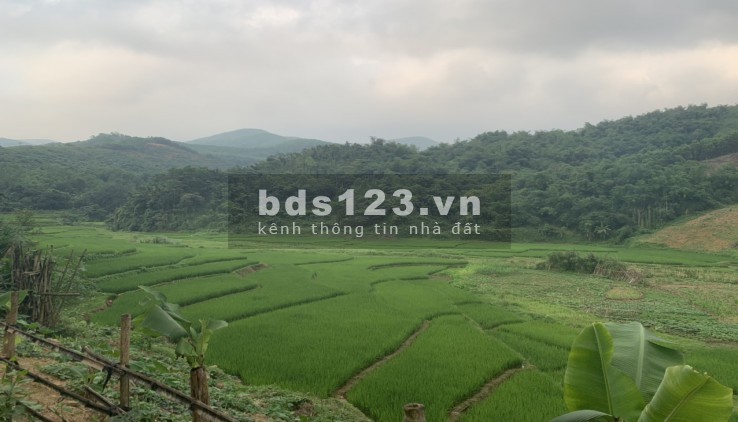 Siêu hiếm siêu rẻ 180 triệu/ha RSX bám suối view ruộng Kim Bôi Hòa Bình