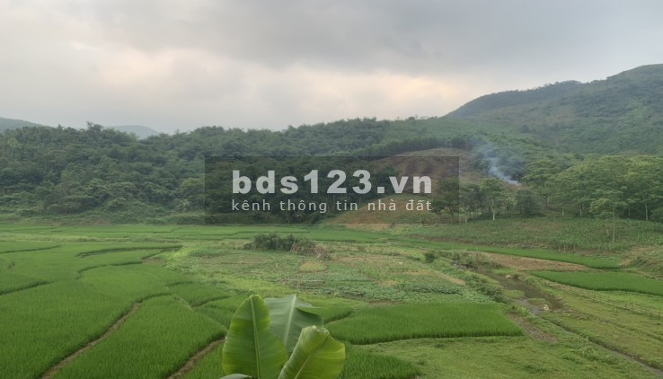 Siêu hiếm siêu rẻ 180 triệu/ha RSX bám suối view ruộng Kim Bôi Hòa Bình