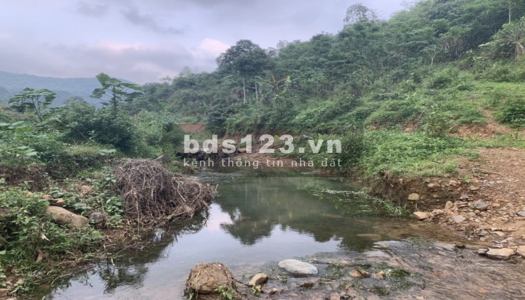 Siêu hiếm siêu rẻ 180 triệu/ha RSX bám suối view ruộng Kim Bôi Hòa Bình