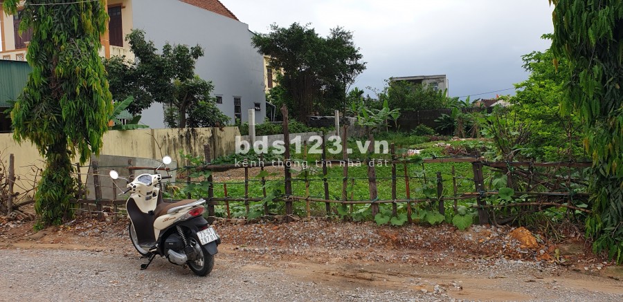 Bán đất mặt tiền Trần Nhật Duật - Đức Ninh, 13.5 x 28m, đã tách 2 sổ, giá mềm