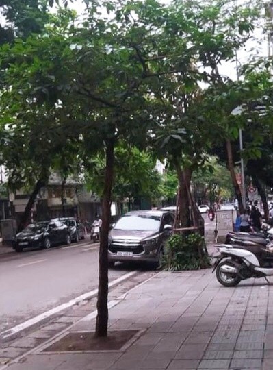 MẶT PHỐ PHÙNG HƯNG LÔ GÓC DT 38M MẶT TIỀN 8.6M + 25M VỈA HÈ KD, 4 TẦNG 21 TỶ