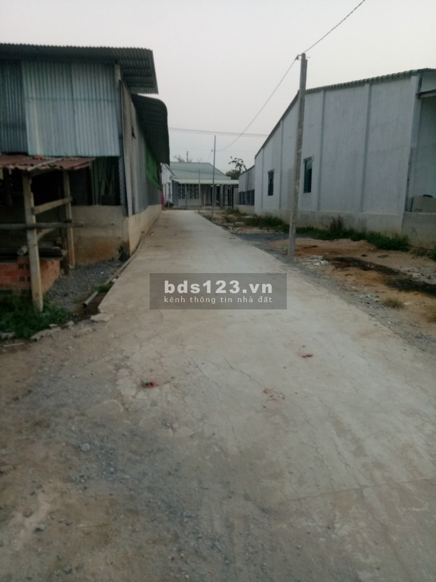 Qúa rẻ đất Long Thành Trung, TX Hoà Thành, Tây Ninh