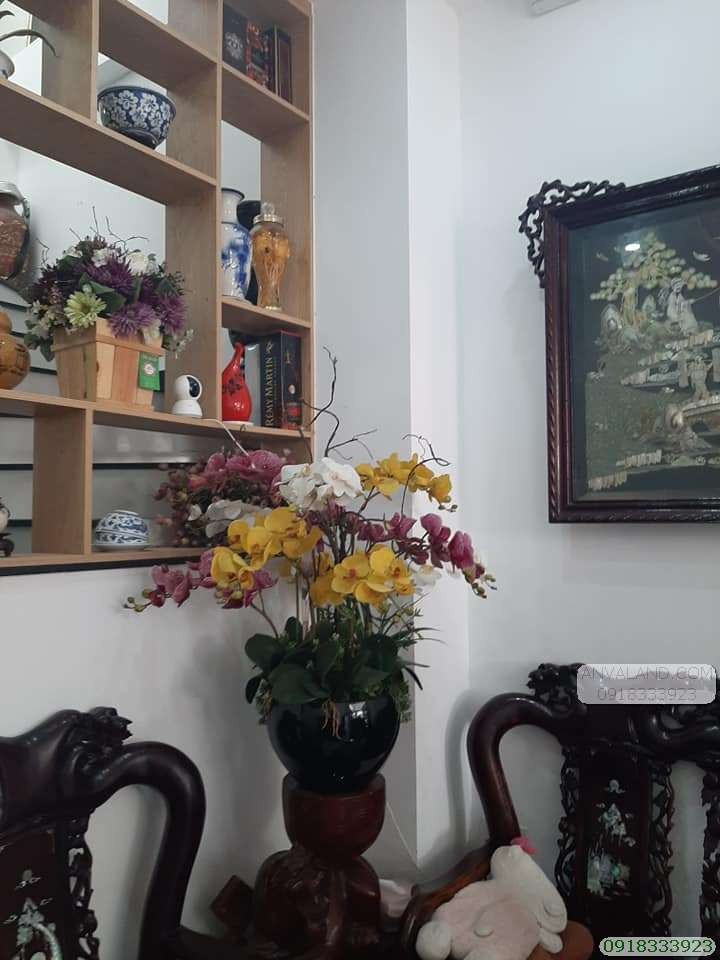 Cần tiền Nhà thuốc bán nhà 269/2B Nguyễn Trãi, Phường 2, Quận 5, 3 lầu, 40m2, chỉ 5 tỷ 9